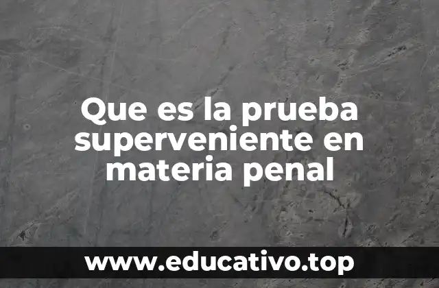 Que es la prueba superveniente en materia penal