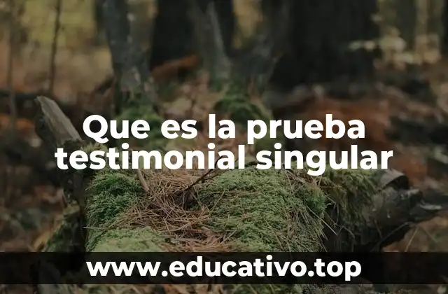 Que es la prueba testimonial singular