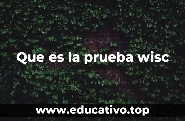 Que es la prueba wisc