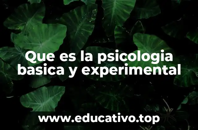 Que es la psicologia basica y experimental