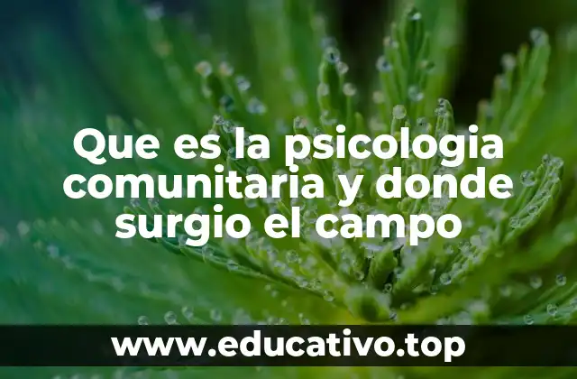 Que es la psicologia comunitaria y donde surgio el campo