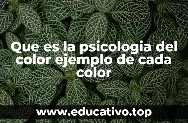 Que es la psicologia del color ejemplo de cada color