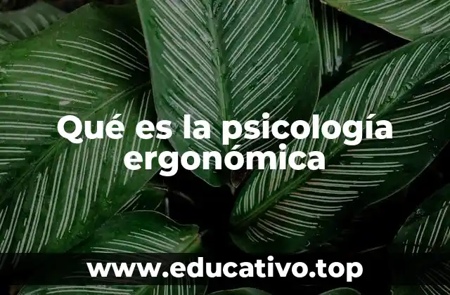 Qué es la psicología ergonómica