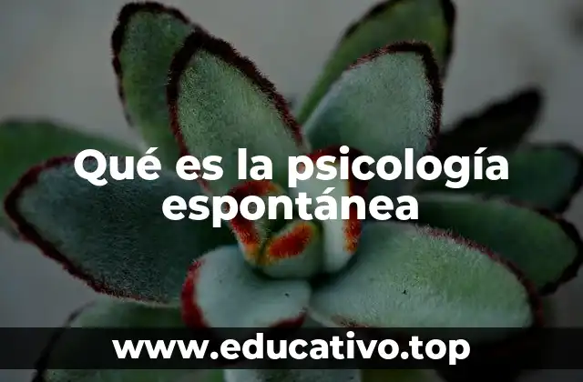 Qué es la psicología espontánea