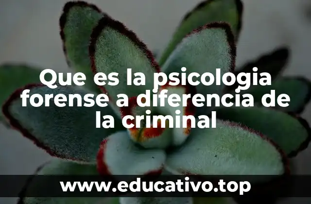 Que es la psicologia forense a diferencia de la criminal