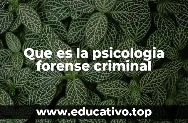 Que es la psicologia forense criminal