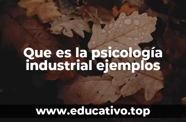 Que es la psicología industrial ejemplos