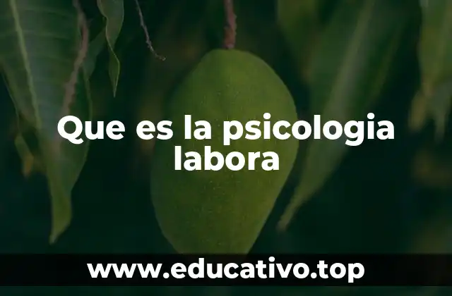 Que es la psicologia labora