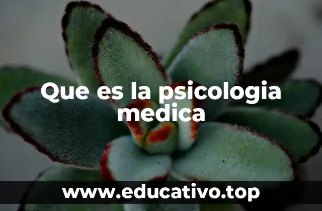 Que es la psicologia medica