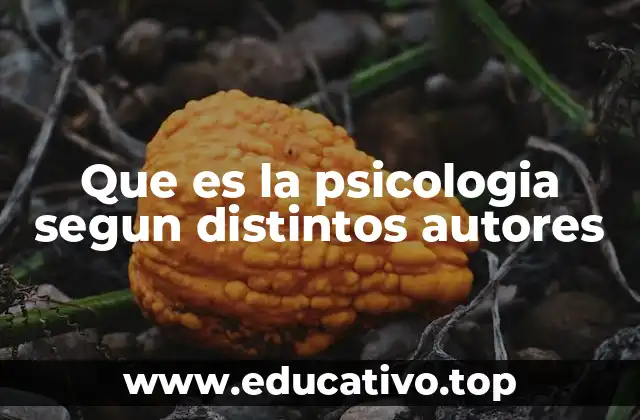 Diferentes perspectivas sobre la psicología