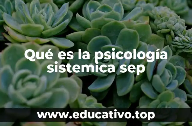 Qué es la psicología sistemica sep