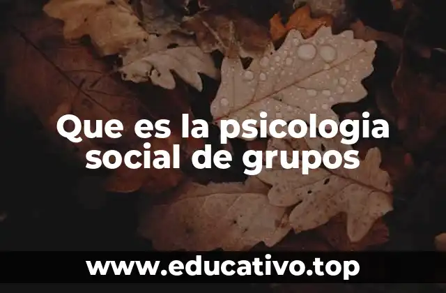 Que es la psicologia social de grupos
