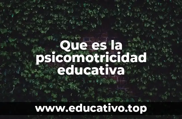 Que es la psicomotricidad educativa