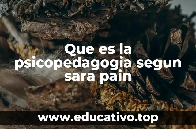 Que es la psicopedagogia segun sara pain