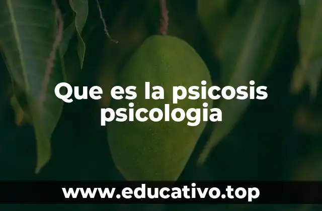 Que es la psicosis psicologia