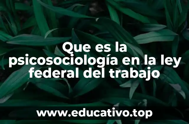 Que es la psicosociología en la ley federal del trabajo