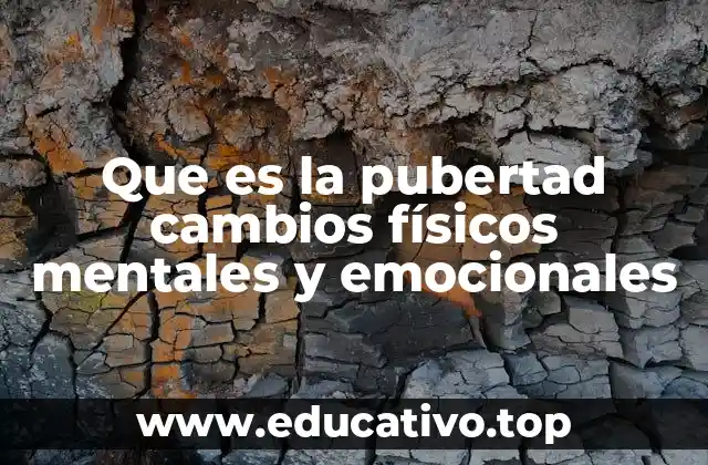 Que es la pubertad cambios físicos mentales y emocionales