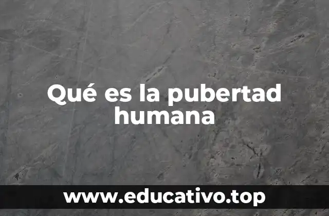Qué es la pubertad humana