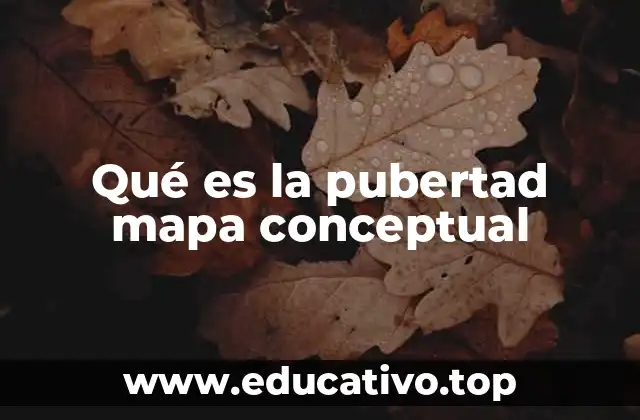 Qué es la pubertad mapa conceptual