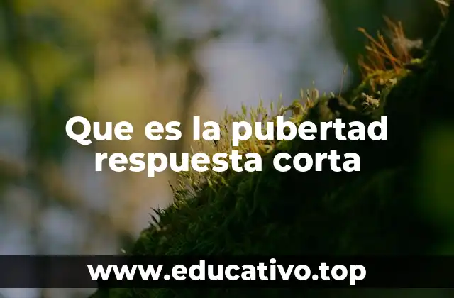 Que es la pubertad respuesta corta