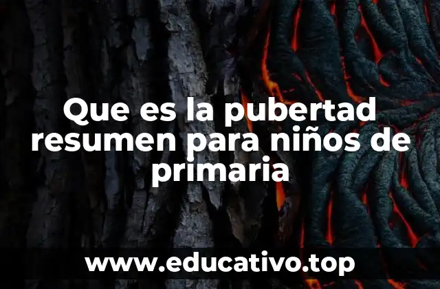 Que es la pubertad resumen para niños de primaria