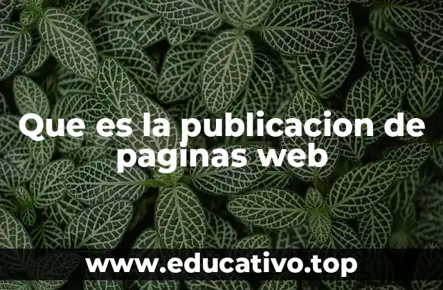 Que es la publicacion de paginas web