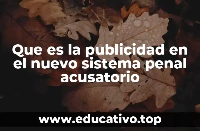 Que es la publicidad en el nuevo sistema penal acusatorio