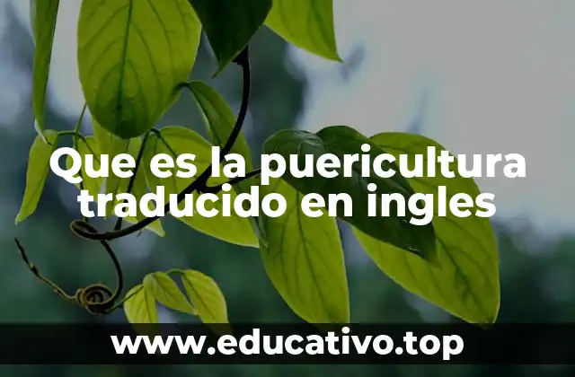 Que es la puericultura traducido en ingles