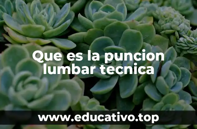 Que es la puncion lumbar tecnica