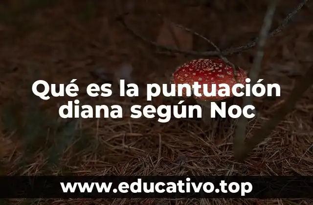 Qué es la puntuación diana según Noc