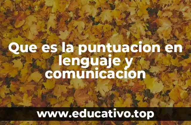 Que es la puntuacion en lenguaje y comunicacion