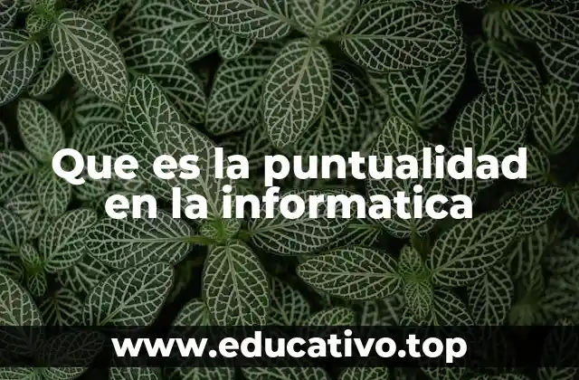Que es la puntualidad en la informatica