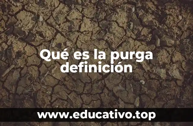 Qué es la purga definición