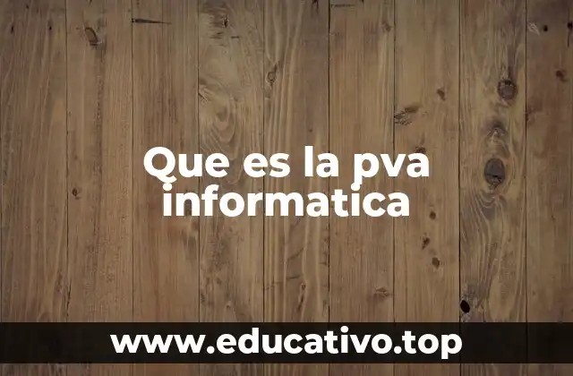 Que es la pva informatica