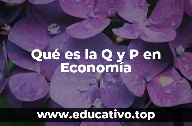 Qué es la Q y P en Economía