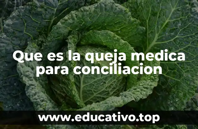 Que es la queja medica para conciliacion