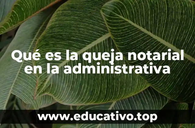 Qué es la queja notarial en la administrativa