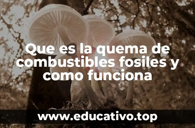 Que es la quema de combustibles fosiles y como funciona