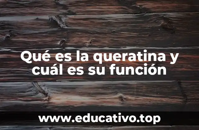 Qué es la queratina y cuál es su función