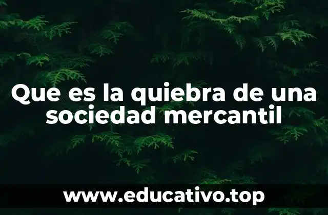 Que es la quiebra de una sociedad mercantil