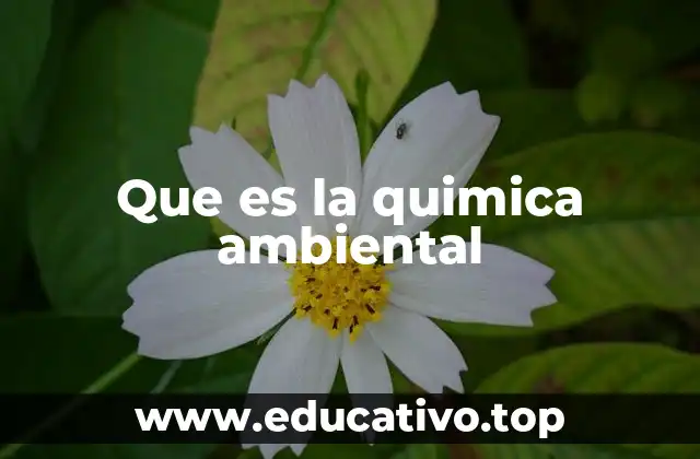 Que es la quimica ambiental