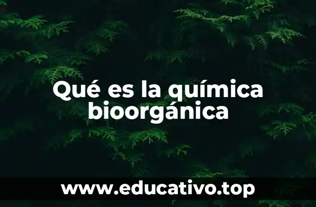 Qué es la química bioorgánica