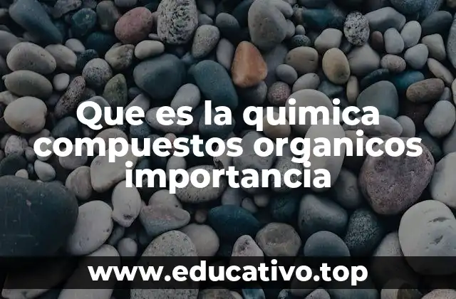 Que es la quimica compuestos organicos importancia