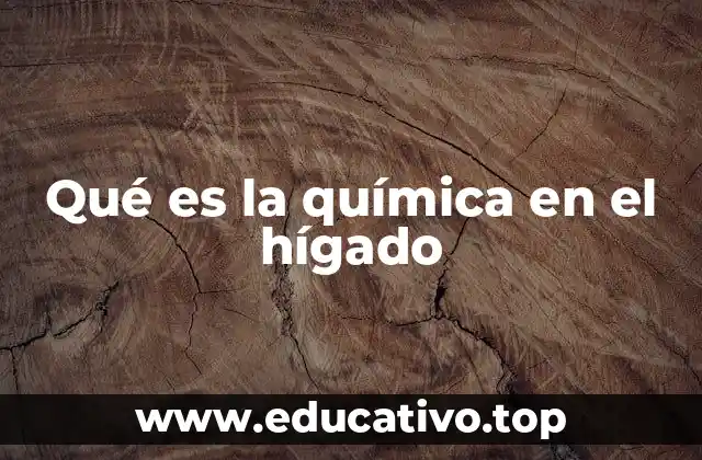 Qué es la química en el hígado