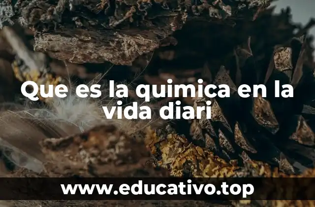 Cómo la química influye en nuestras rutinas sin que nos demos cuenta