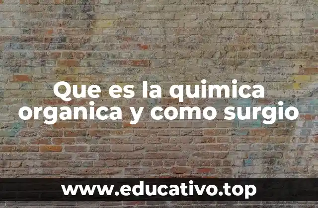 Que es la quimica organica y como surgio
