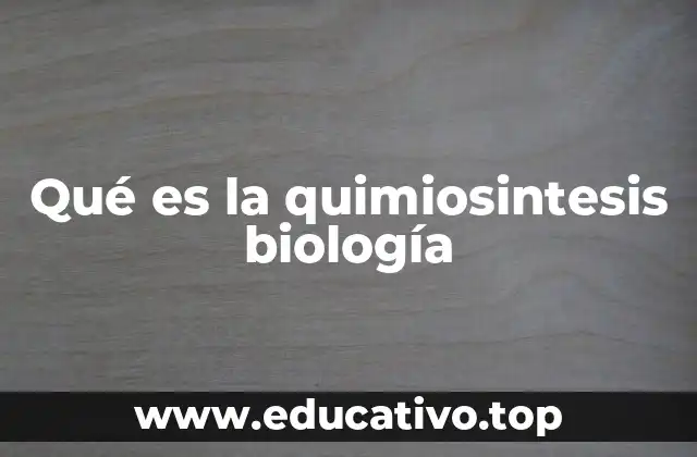 Qué es la quimiosintesis biología