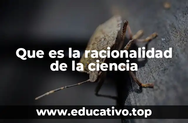 Que es la racionalidad de la ciencia