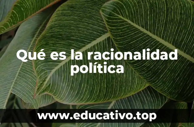 Qué es la racionalidad política