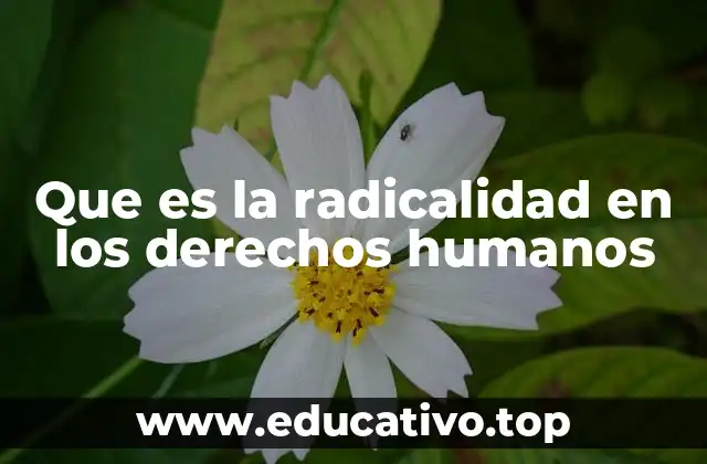 Que es la radicalidad en los derechos humanos